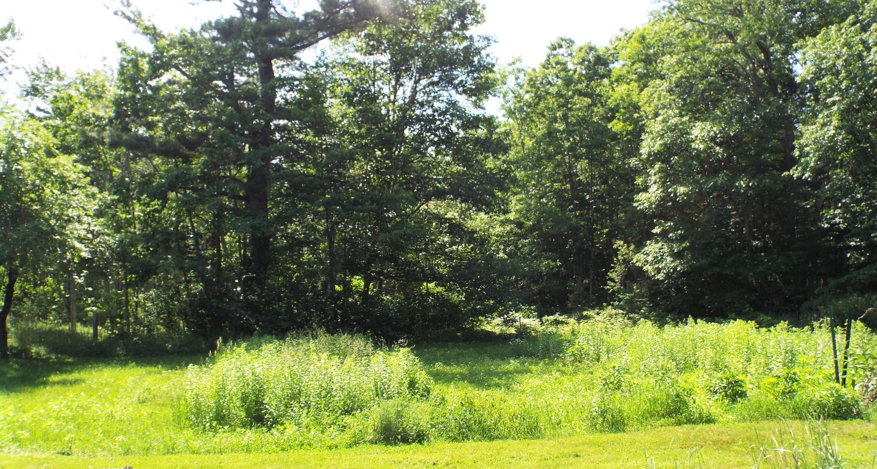 2901 Edinburg Road Old Town, ME 04468 - Photo 17 of 34 Edinburg 16