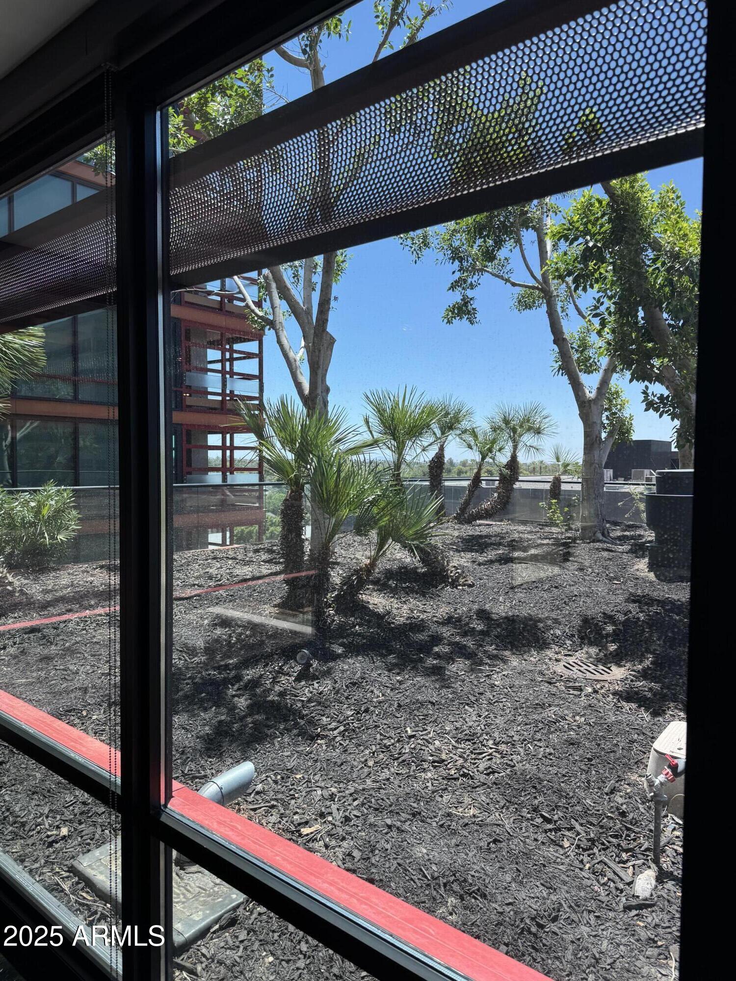 4808 North 24th Street, Unit 627 Phoenix, AZ 85016 - Photo 15 of 57 a view of a yard with a tree