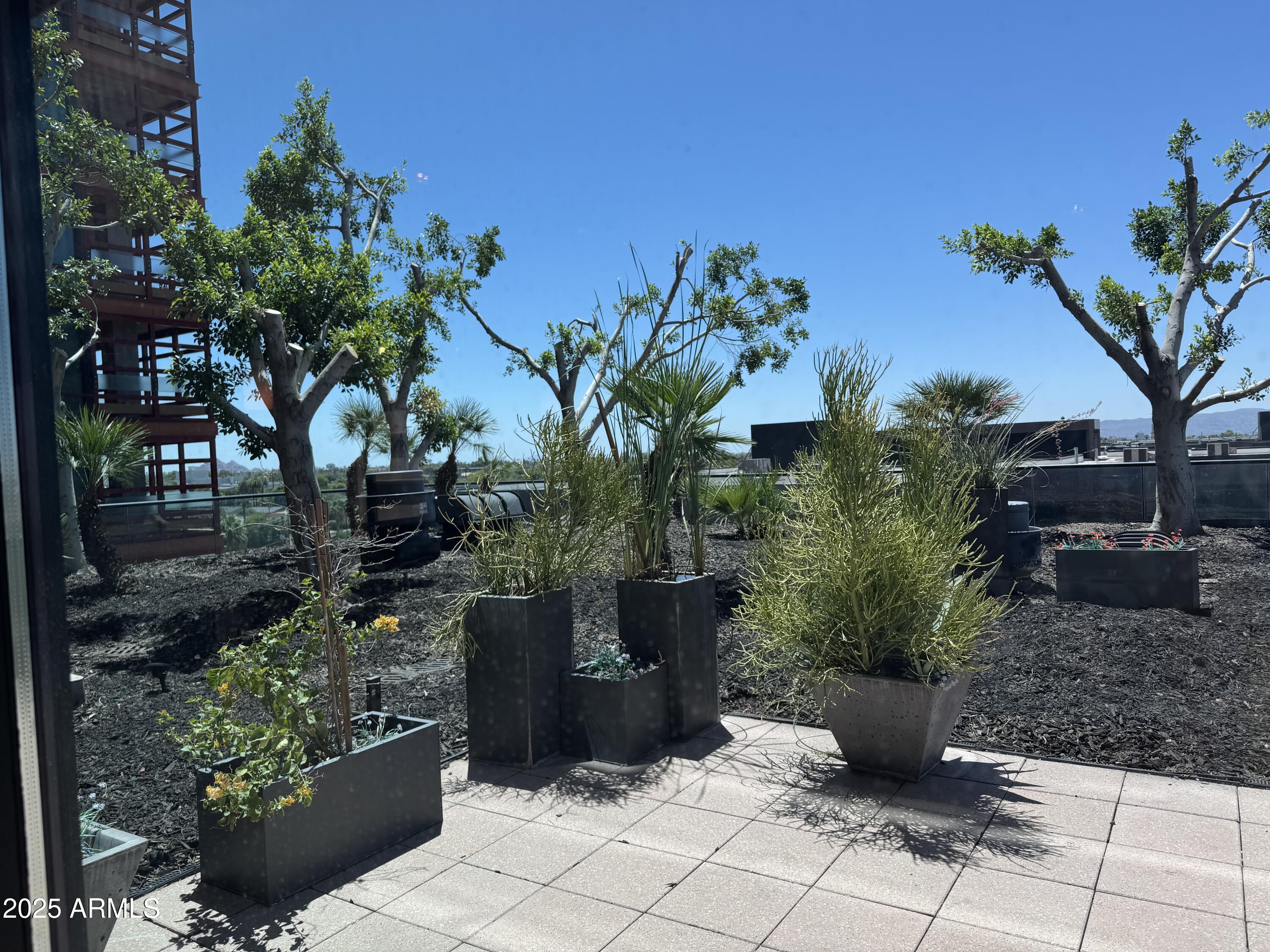 4808 North 24th Street, Unit 627 Phoenix, AZ 85016 - Photo 17 of 57 a view of a garden with plants