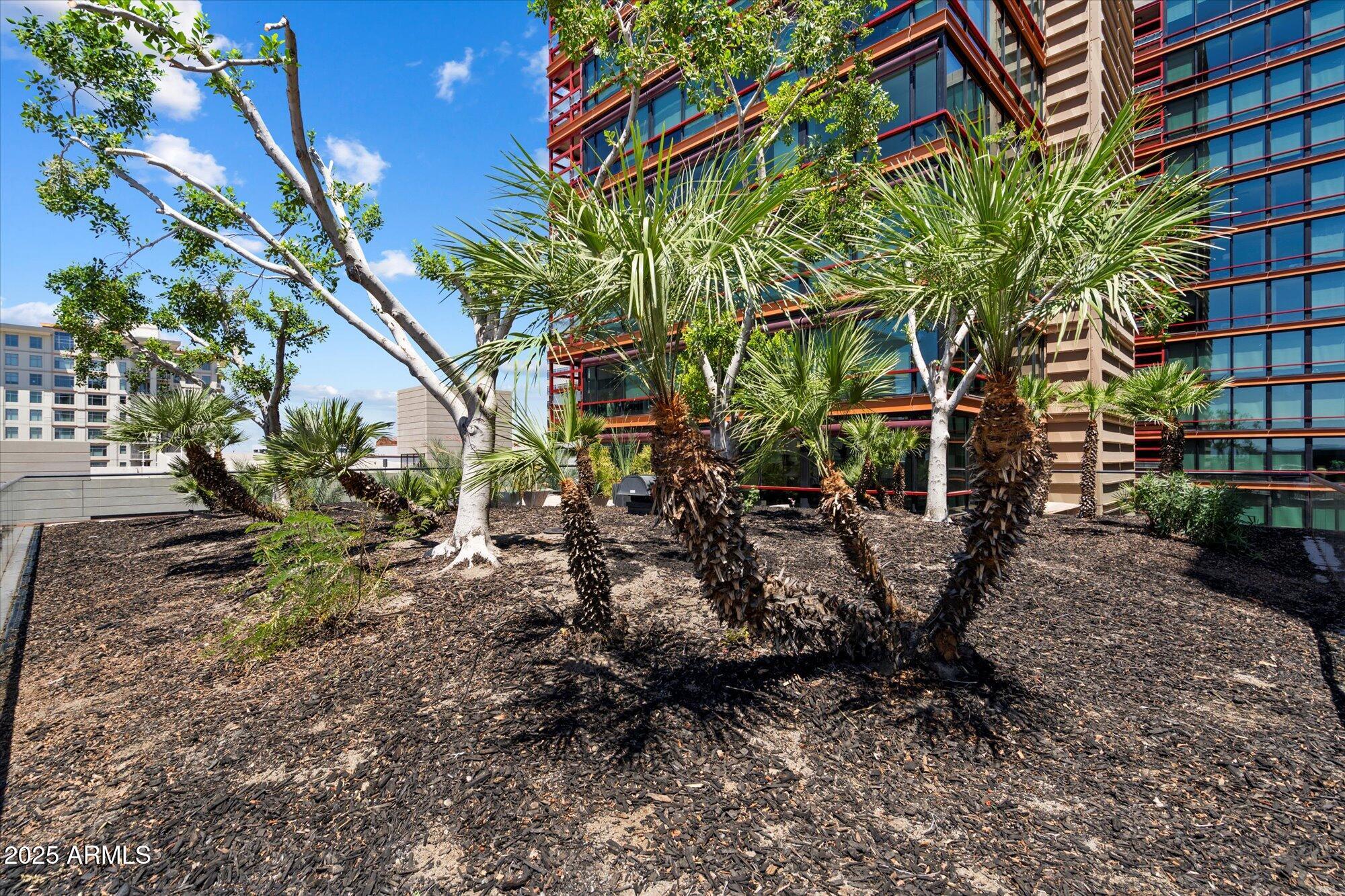 4808 North 24th Street, Unit 627 Phoenix, AZ 85016 - Photo 39 of 57 a view of outdoor space yard and patio