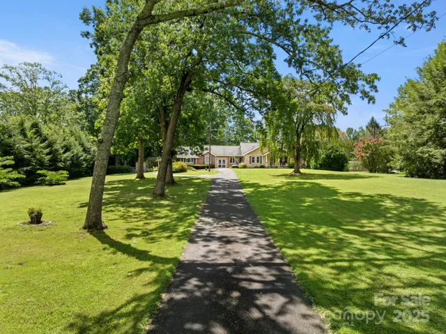 a view of a park with large trees