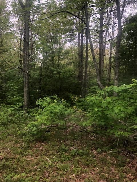 887 Swicegood Road Crossville, TN 38571 - Photo 12 of 19