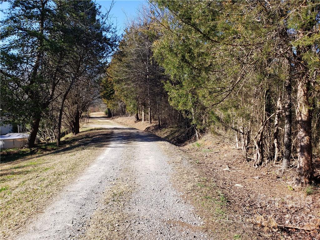0 Sugar Hollow Road, Unit 3 PROPOSED Clover, SC 29710 - Photo 2 of 35 a view of yard with trees
