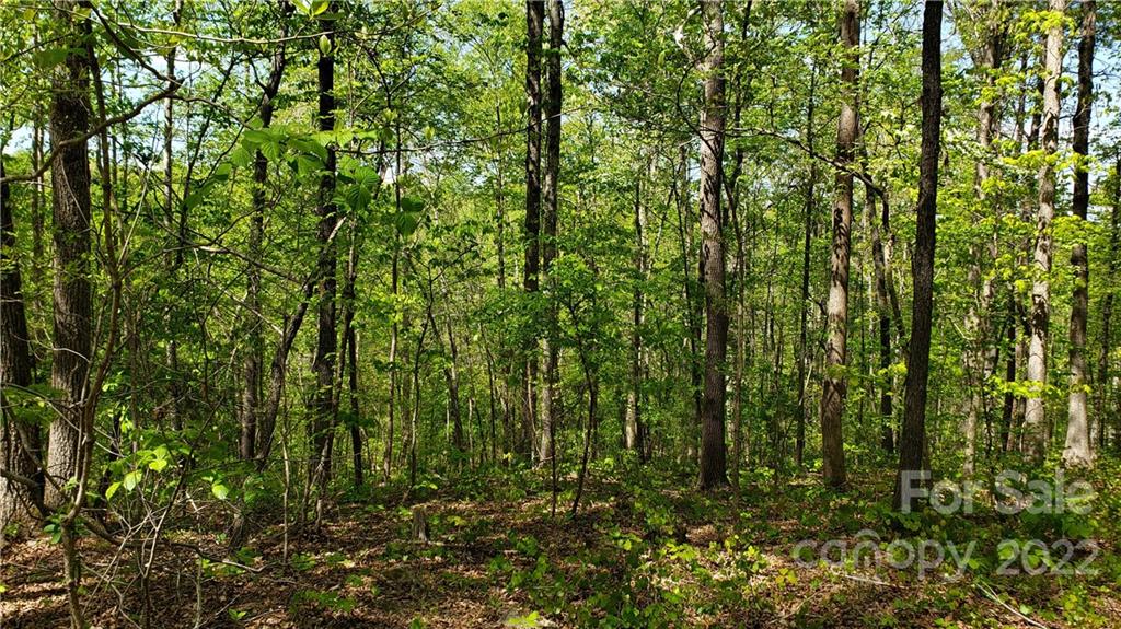0 Sugar Hollow Road, Unit 3 PROPOSED Clover, SC 29710 - Photo 34 of 35 a view of a yard
