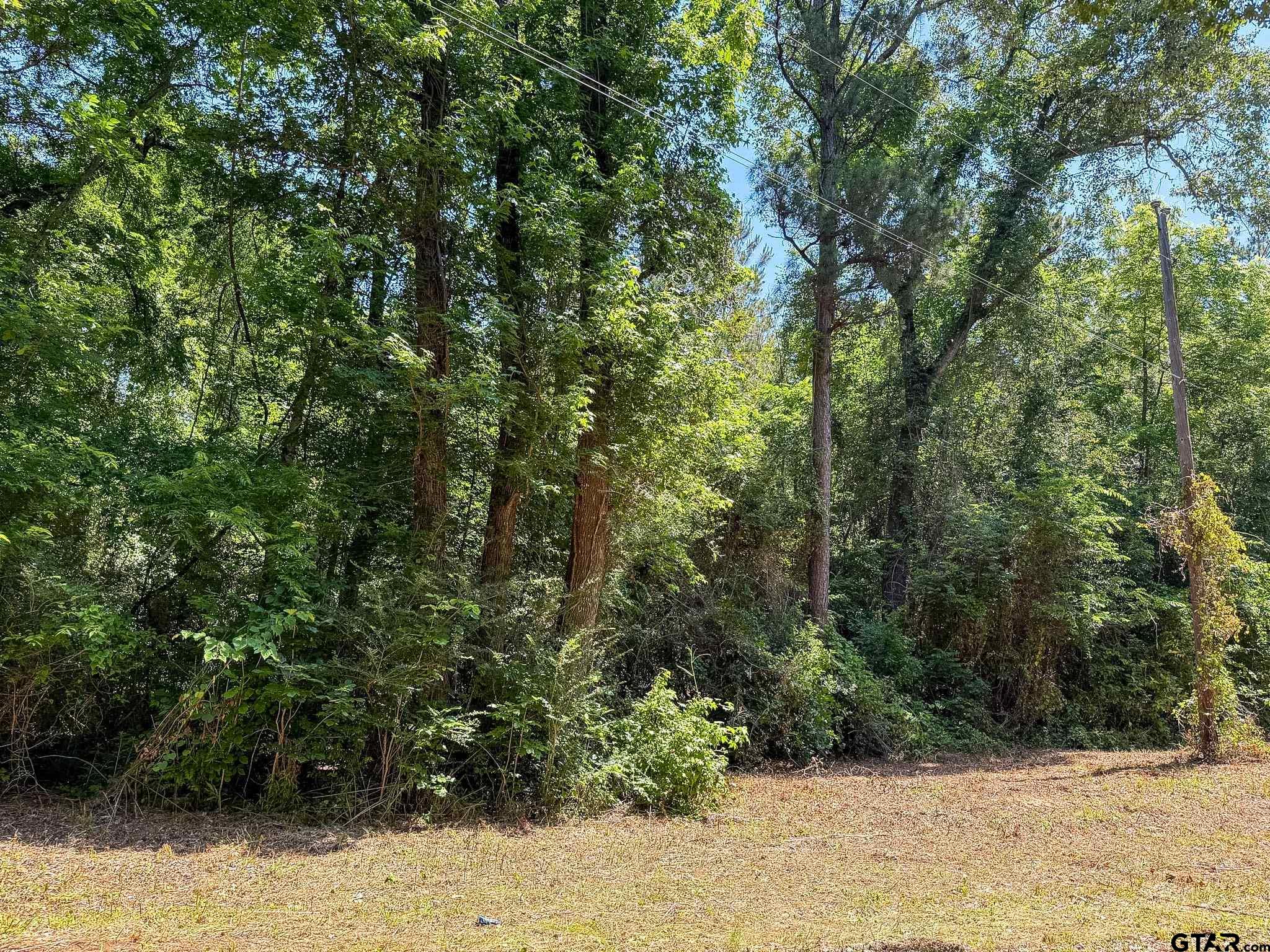 1329 C R 2112 Rusk, TX 75785 - Photo 8 of 13 a view of a bunch of trees