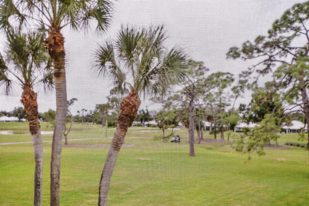 433 Cerromar Lane, Unit 438 Venice, FL 34293 - Photo 26 of 44 a view of yard with trees