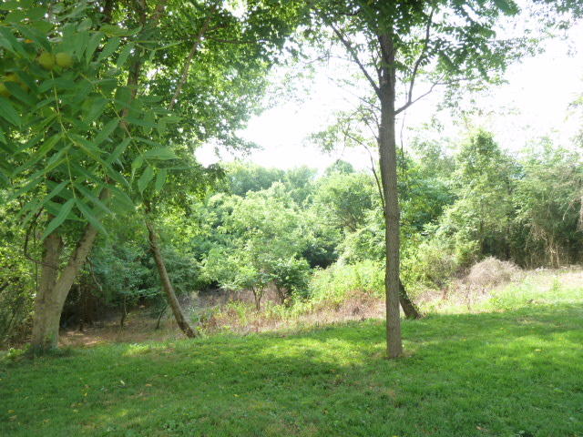 7714 Collier Road Powell, TN 37849 - Photo 17 of 19 P1180207