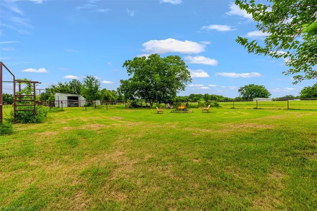 a view of a big yard with plants and large trees