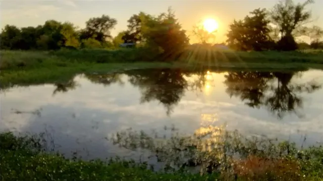 $599,000 | 2379 Vz County Road 3810, Wills Point, TX 75169