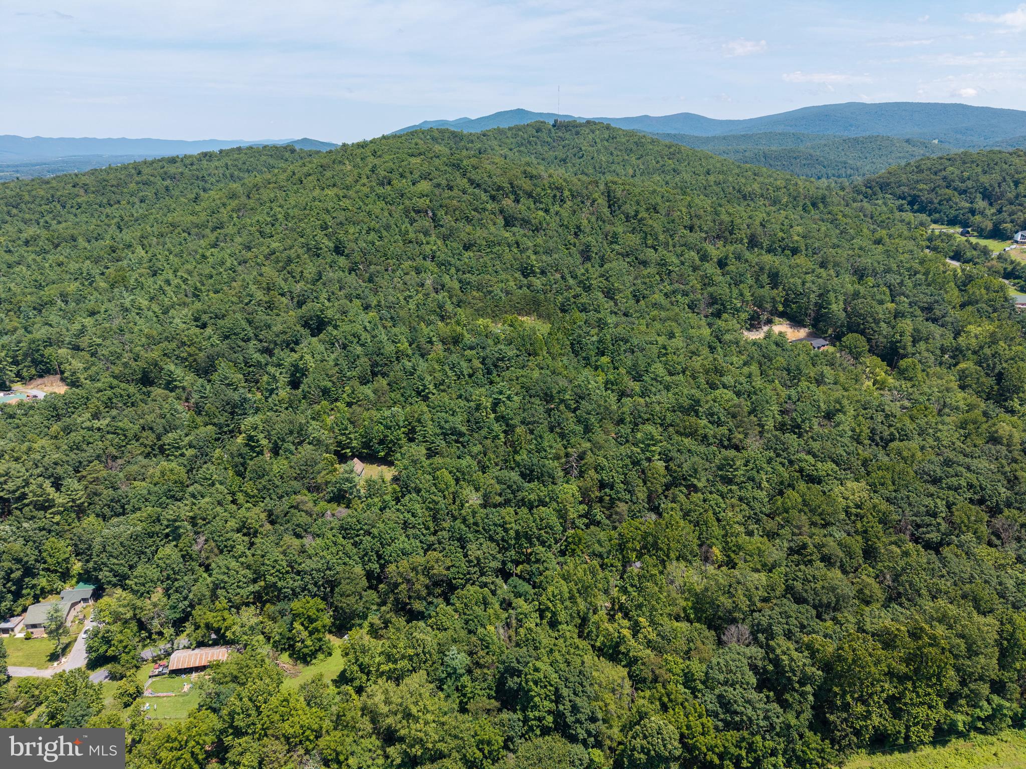 1247 Somers Road Luray, VA 22835 - Photo 65 of 67 a view of a lush green forest with a houses