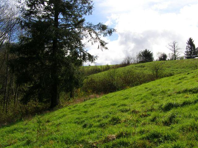 41 Skyview Road Tillamook, OR 97141 - Photo 26 of 33 P3180287