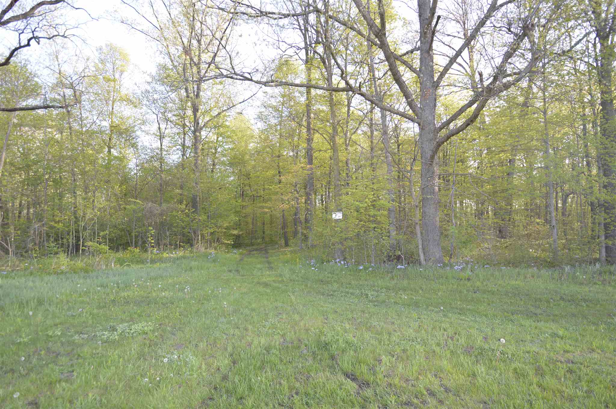 0 West Dupont Road Fort Wayne, IN 46818 - Photo 11 of 15