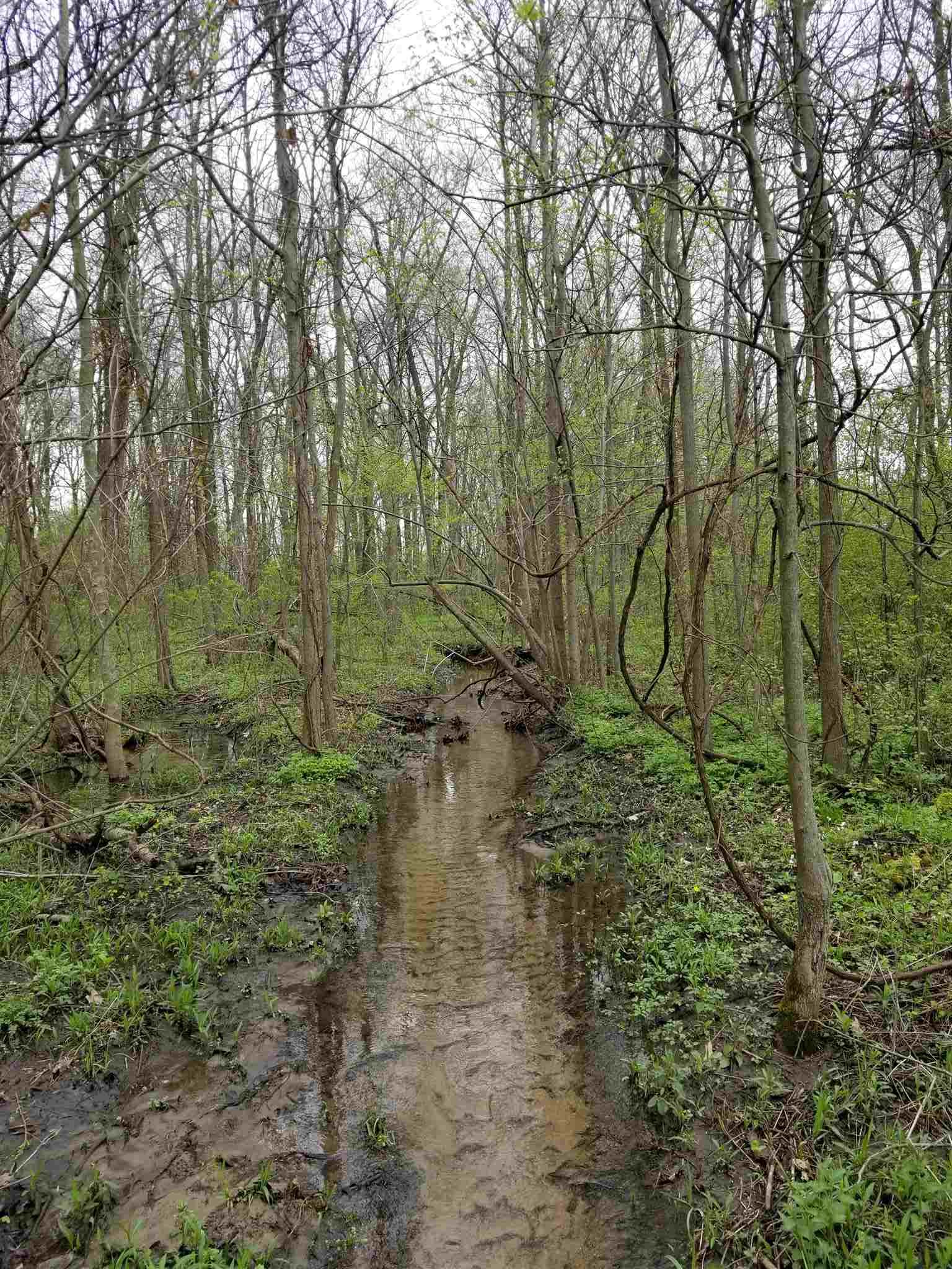 0 West Dupont Road Fort Wayne, IN 46818 - Photo 15 of 15
