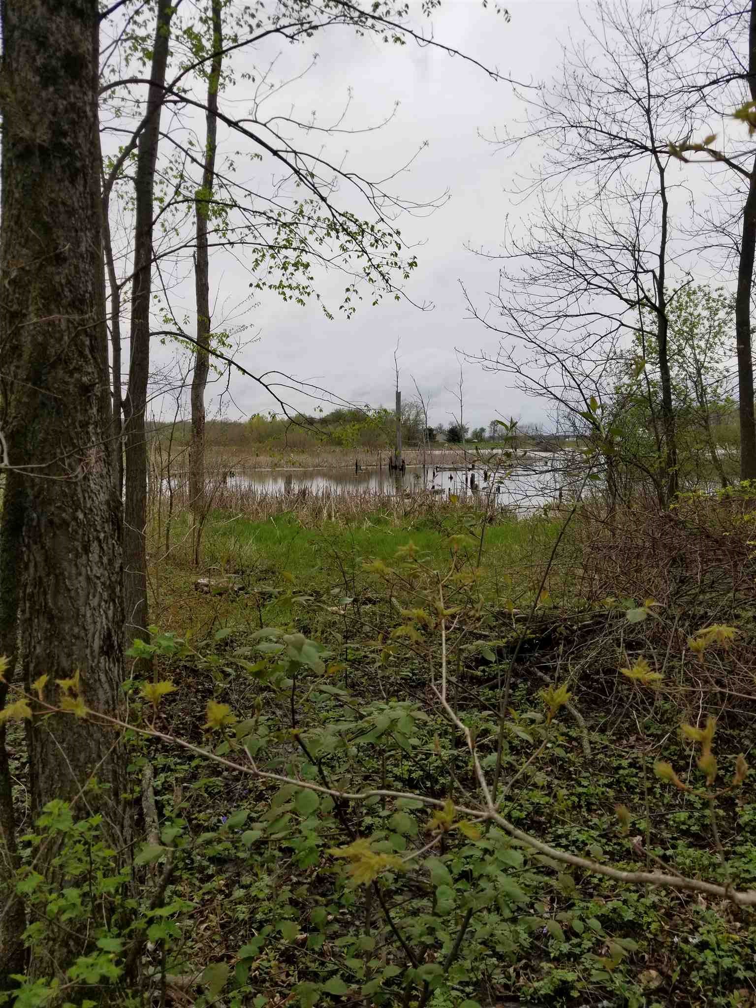 0 West Dupont Road Fort Wayne, IN 46818 - Photo 7 of 15