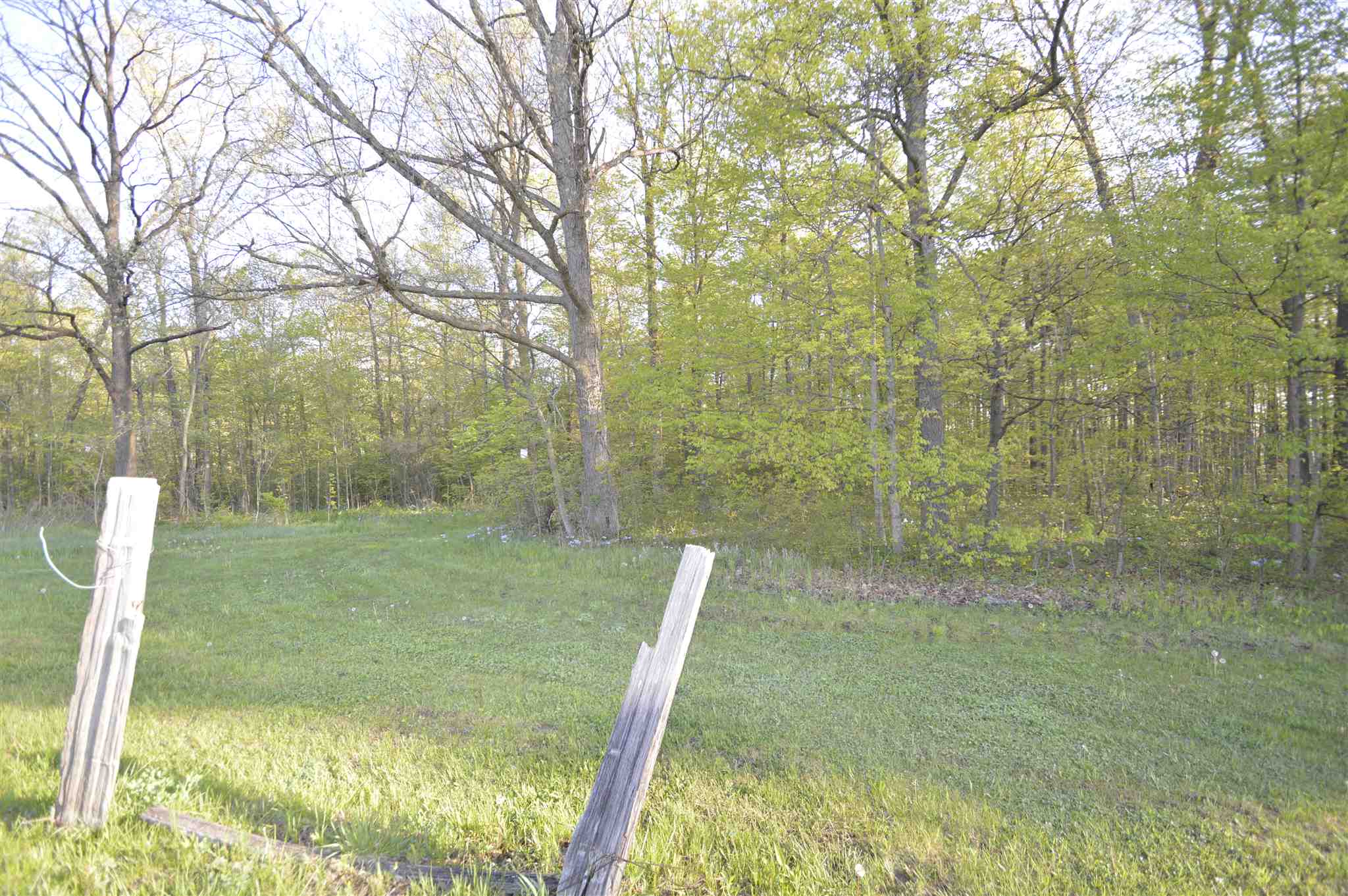 0 West Dupont Road Fort Wayne, IN 46818 - Photo 9 of 15