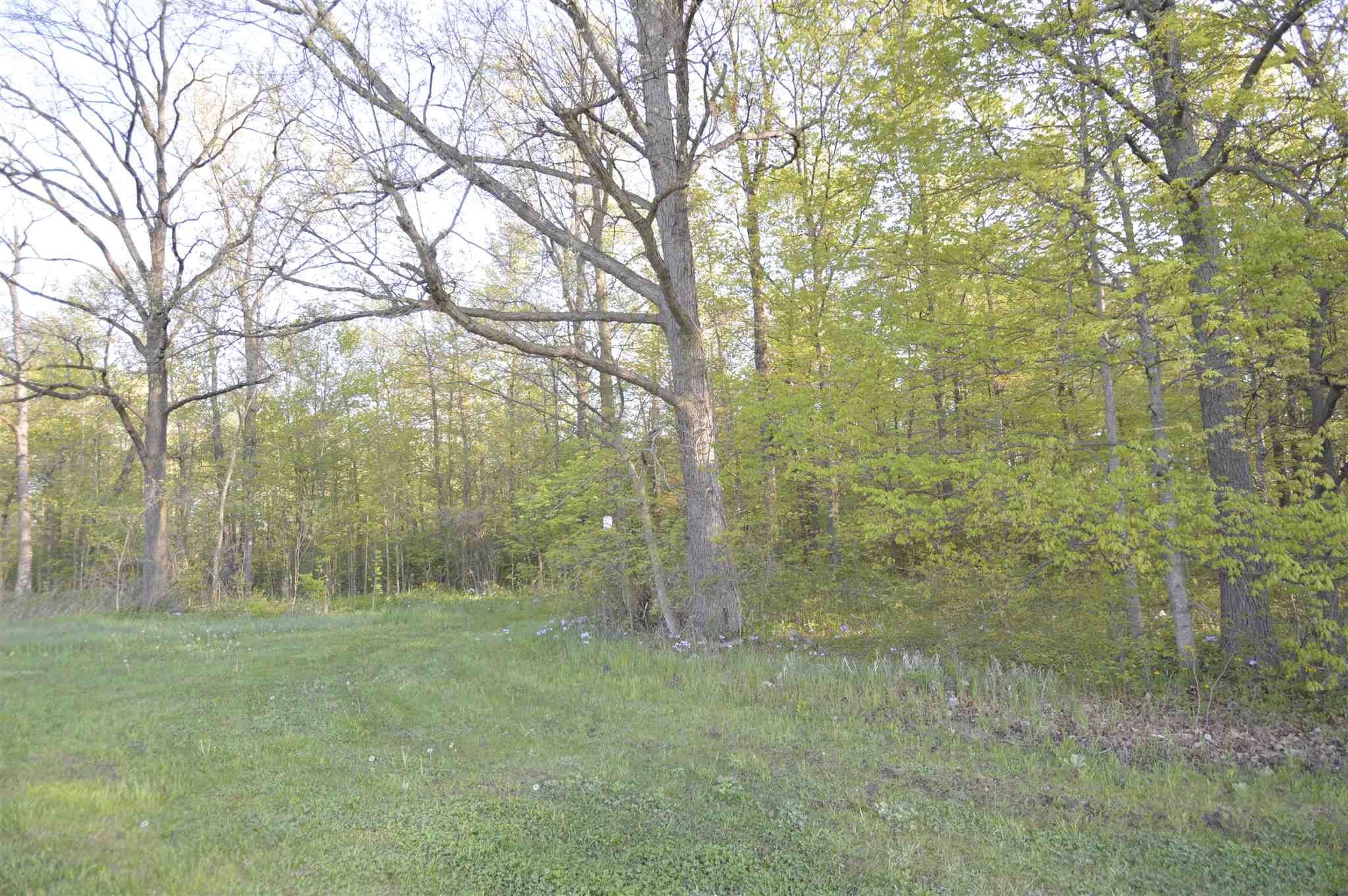 0 West Dupont Road Fort Wayne, IN 46818 - Photo 10 of 15