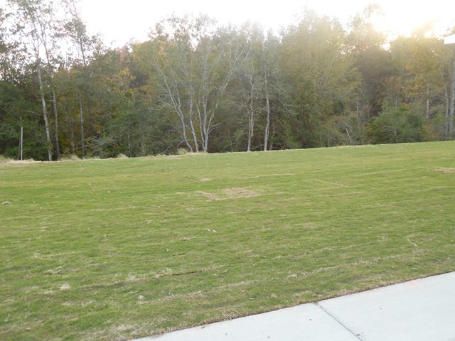4417 Raleigh Drive Grovetown, GA 30813 - Photo 3 of 3