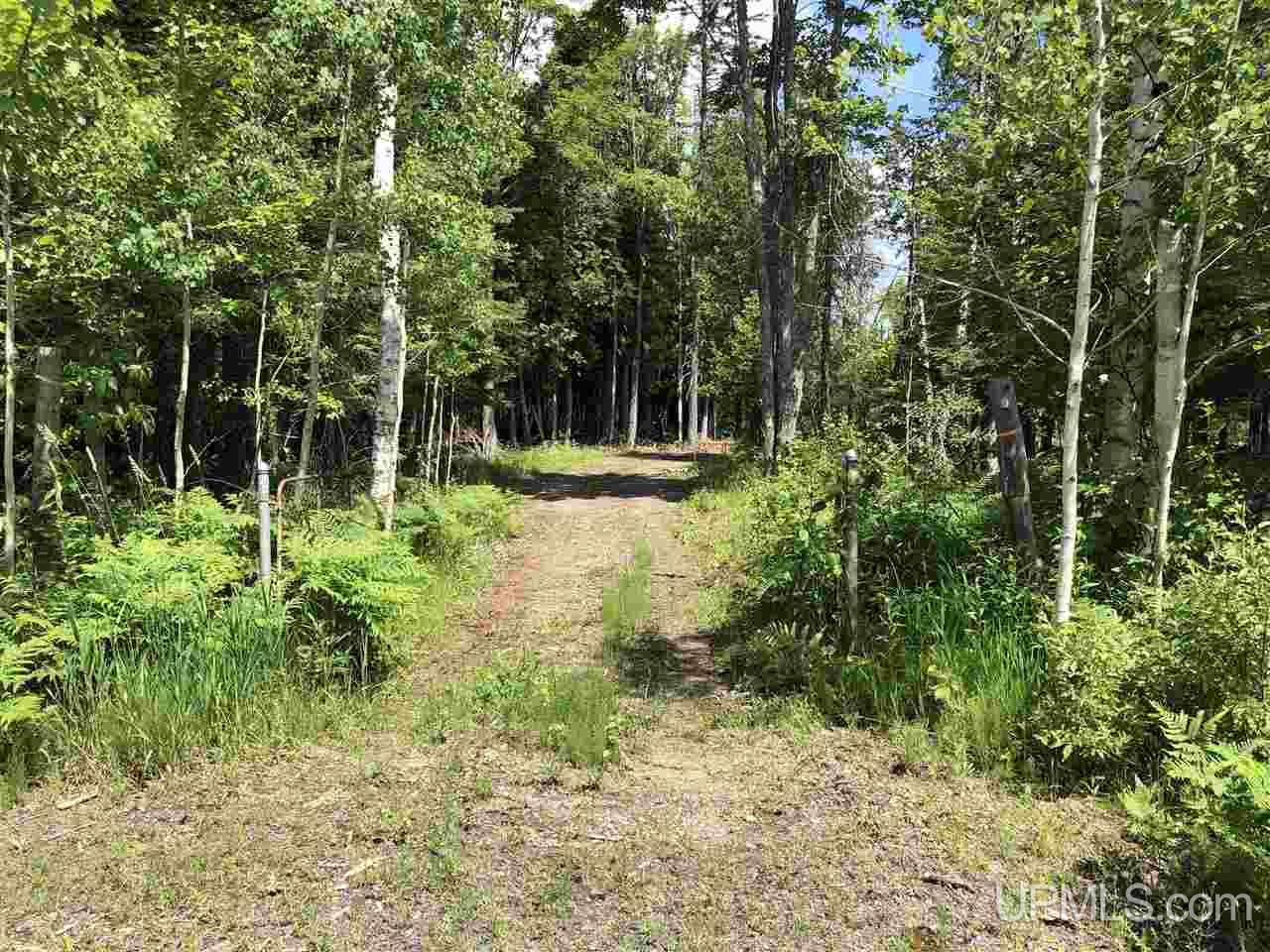 Tbd A Sandstone Road Lake Linden, MI 49945 - Photo 1 of 18 Gallery Image 1