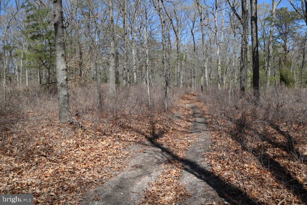 351 Shaws Mill Road Cedarville, NJ 08311 - Photo 16 of 84
