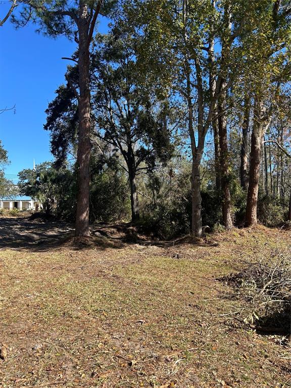5927 Lynn Road Tampa, FL 33624 - Photo 2 of 9 a view of a yard with trees