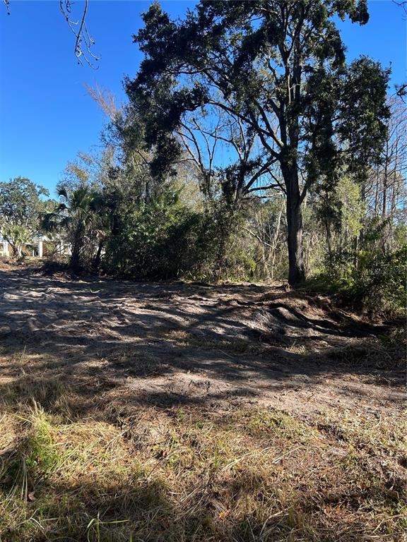 5927 Lynn Road Tampa, FL 33624 - Photo 3 of 9 a view of a street with a yard