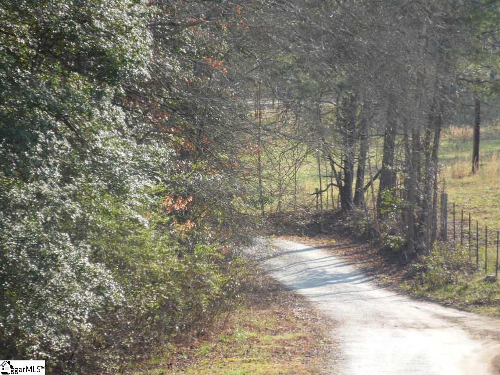 660 Pumpkintown Road Marietta, SC 29661 - Photo 3 of 20