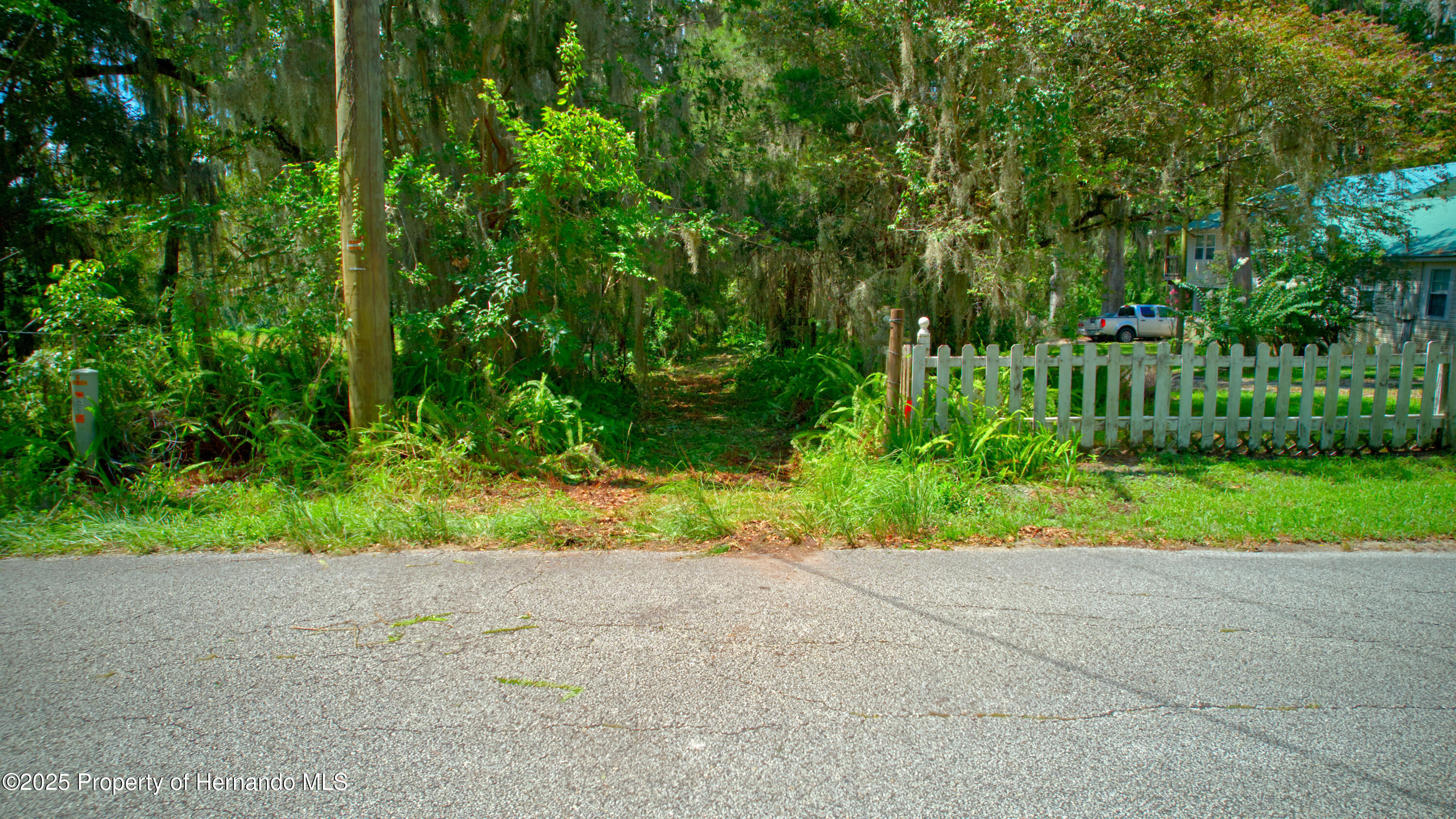 0 Whitman Road Brooksville, FL 34601 - Photo 8 of 30