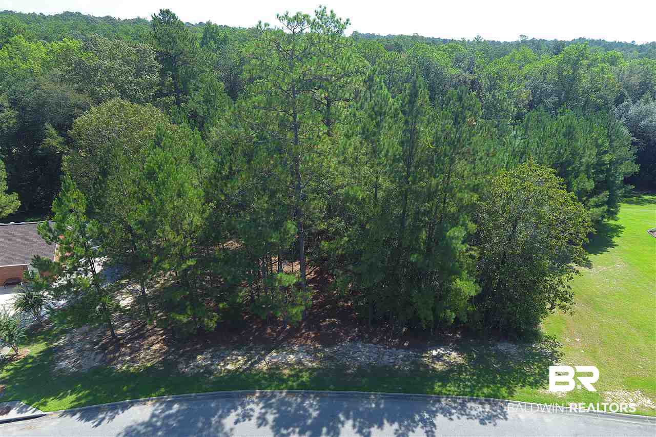 41 Juniper Creek Road Castleberry, AL 36432 - Photo 5 of 10