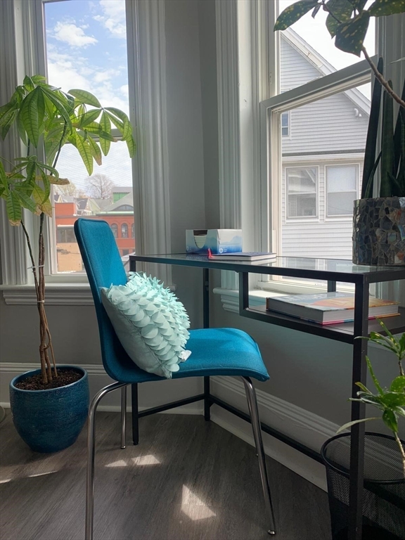 9 Henry Street, Unit 2 Everett, MA 02149 - Photo 5 of 19 a living room with a table and a potted plant