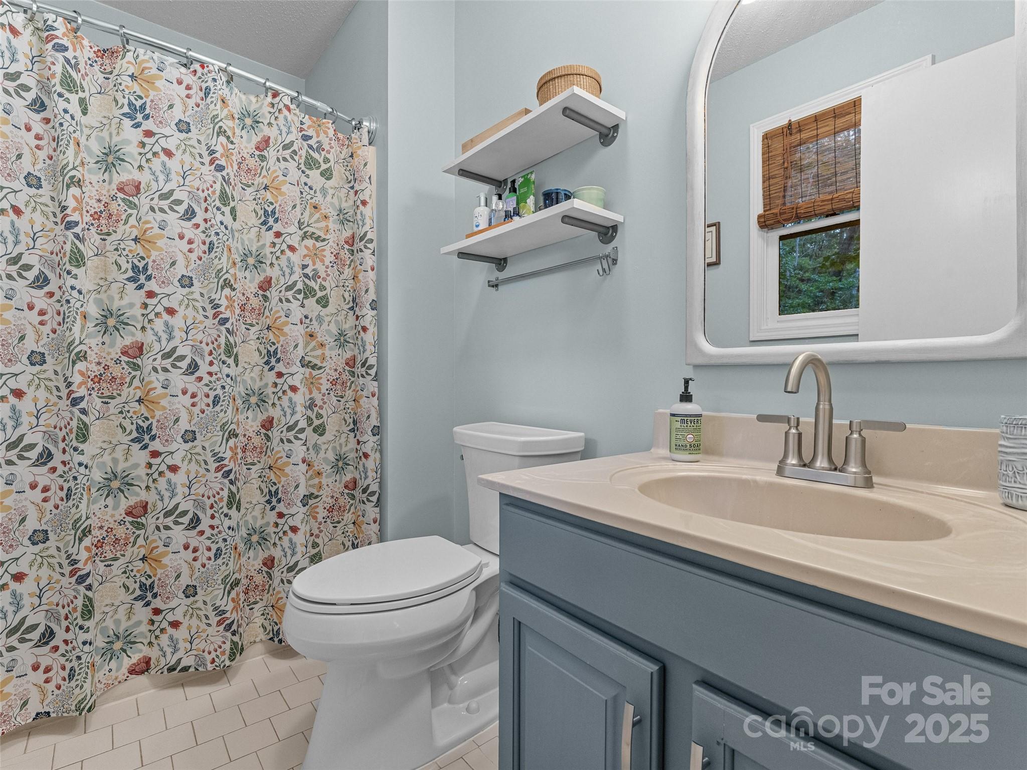 197 Tiptop Road Brevard, NC 28712 - Photo 24 of 45 a bathroom with a granite countertop toilet sink and mirror