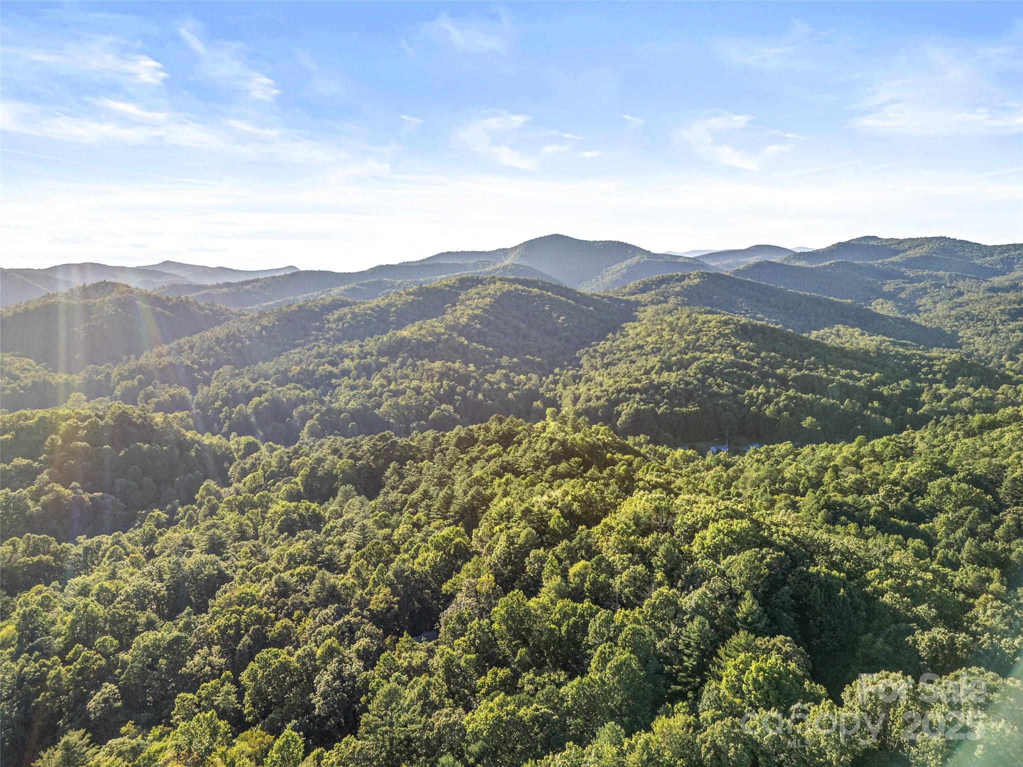 197 Tiptop Road Brevard, NC 28712 - Photo 43 of 45 a view of a house with a street