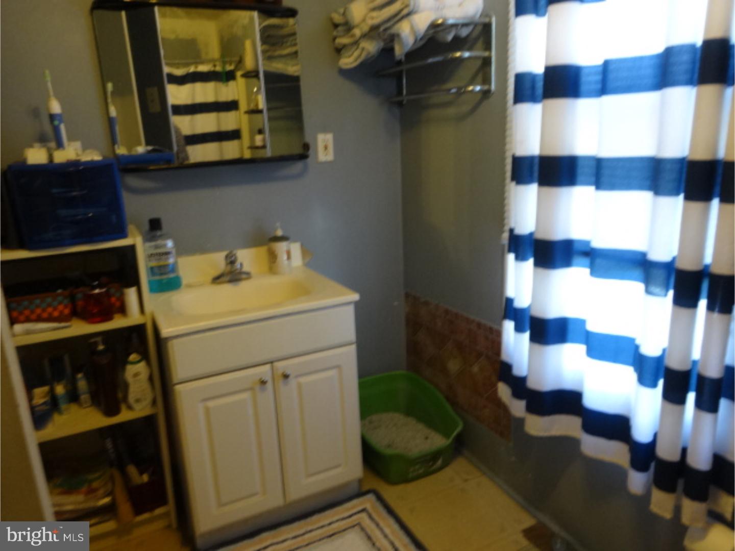 125 Ripka Street Philadelphia, PA 19127 - Photo 13 of 15 Bathroom