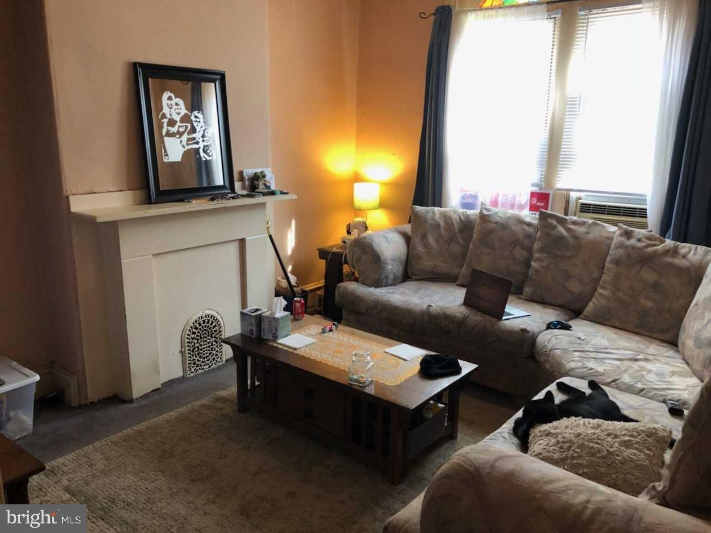 125 Ripka Street Philadelphia, PA 19127 - Photo 4 of 15