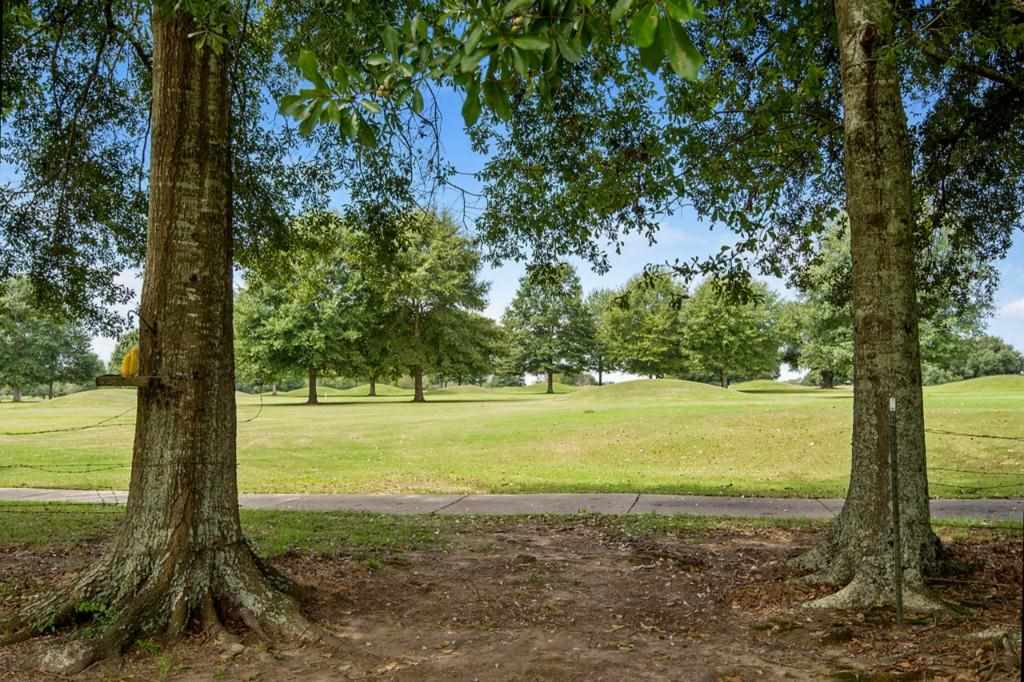 21453 Simmons Road Franklinton, LA 70438 - Photo 17 of 17 Gallery Image 17