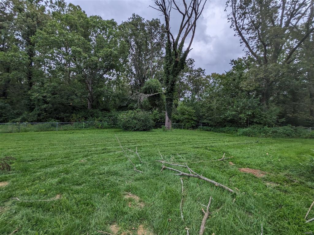 8331 Old Lebanon Troy Road Troy, IL 62294 - Photo 21 of 21