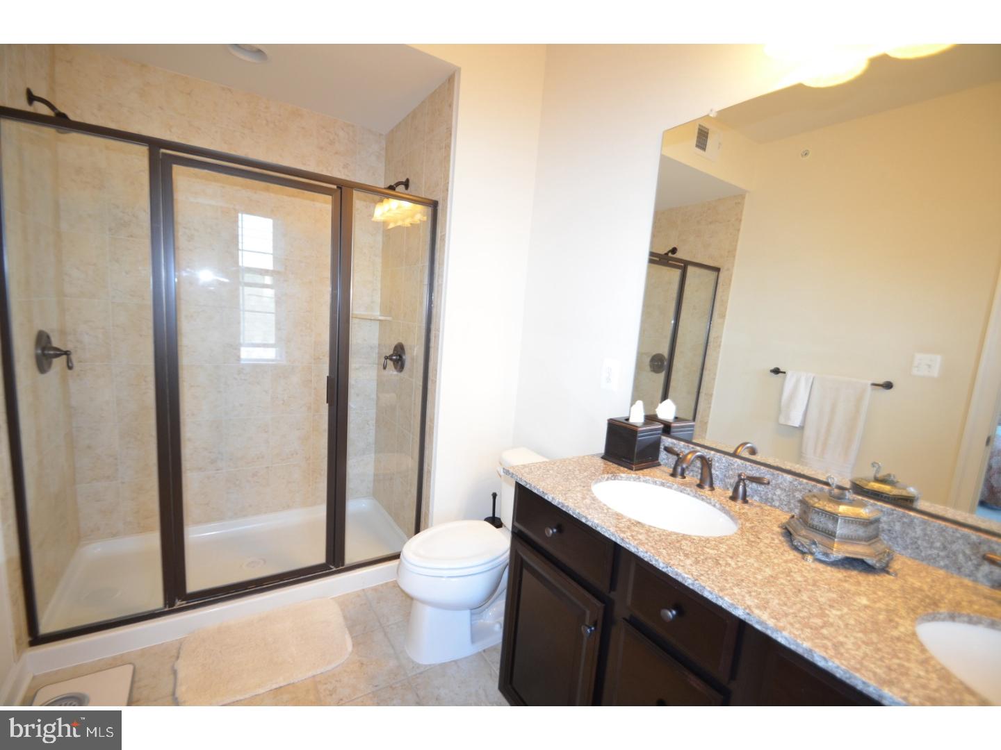3966 Cephas Child Road Doylestown, PA 18902 - Photo 9 of 21 Master Bathroom