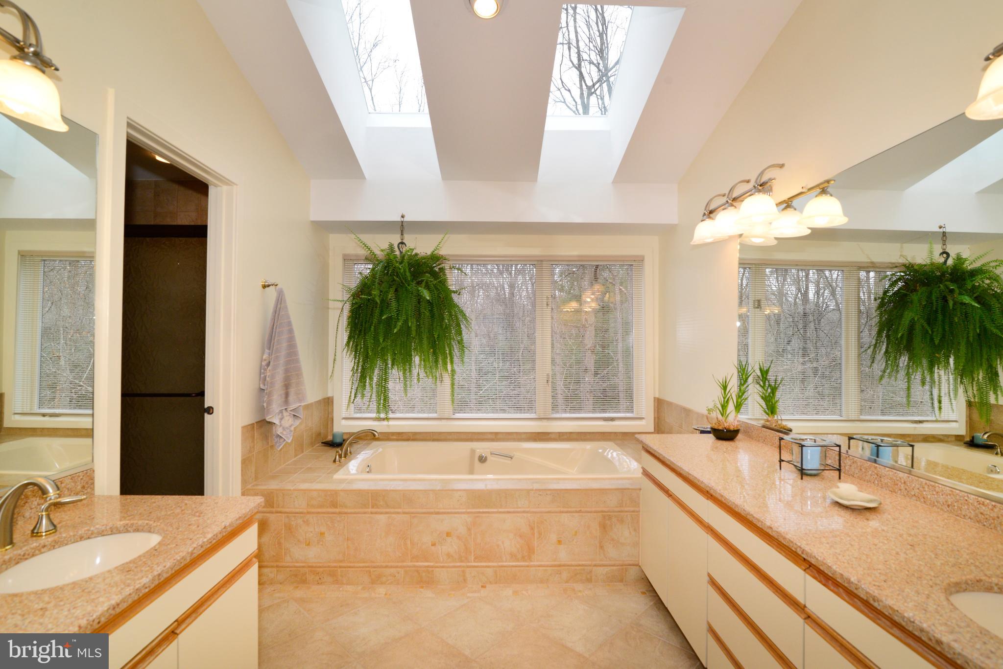 11410 Fieldstone Lane Reston, VA 20191 - Photo 33 of 50 a bathroom with a tub a sink and a large mirror
