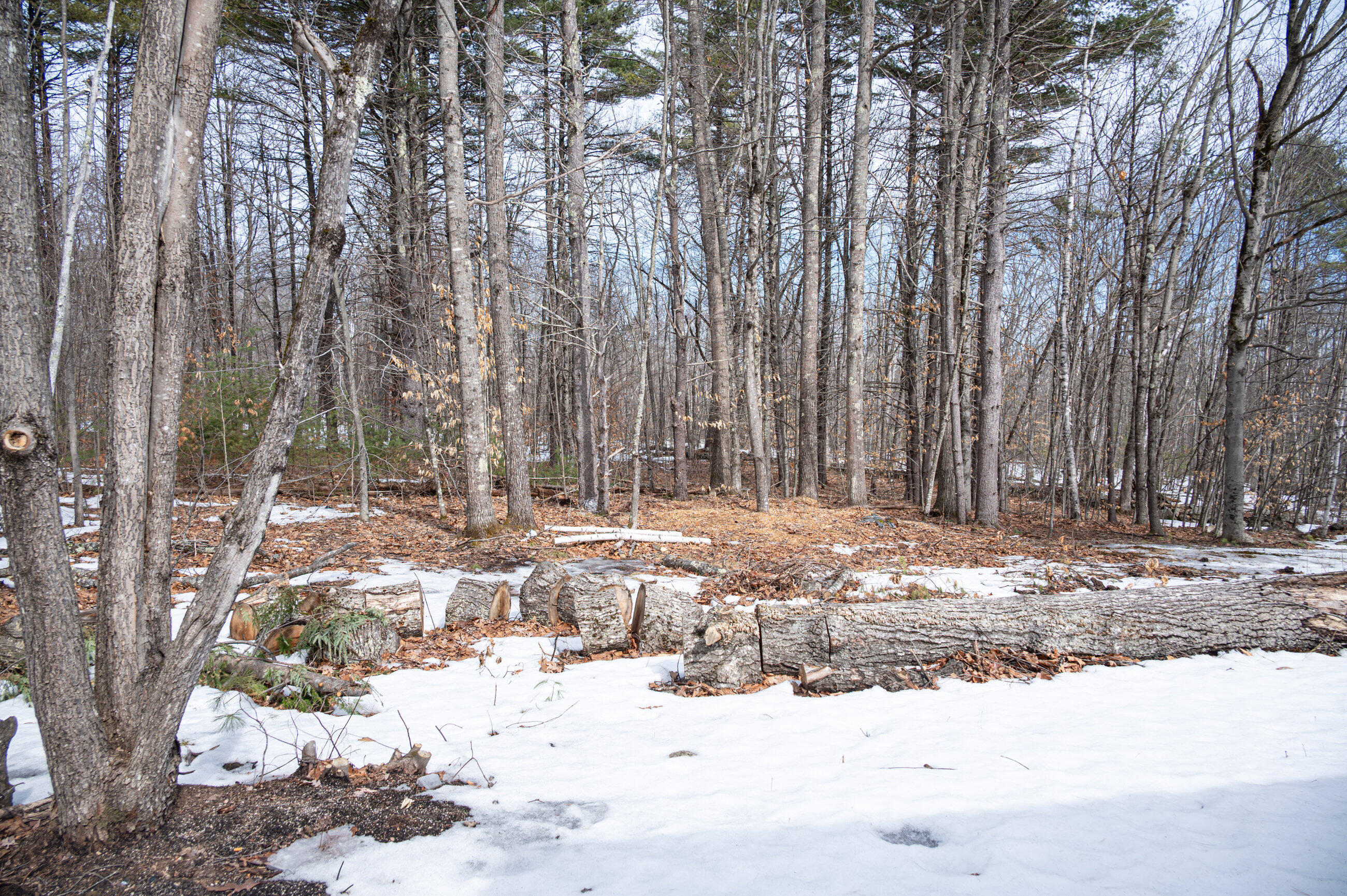 45 Morrison Lane Newfield, ME 04095 - Photo 5 of 37 Exterior-3340