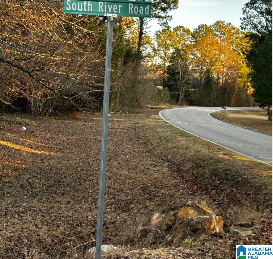 100 South River Road, Unit 100 Shelby, AL 35143 - Photo 2 of 3