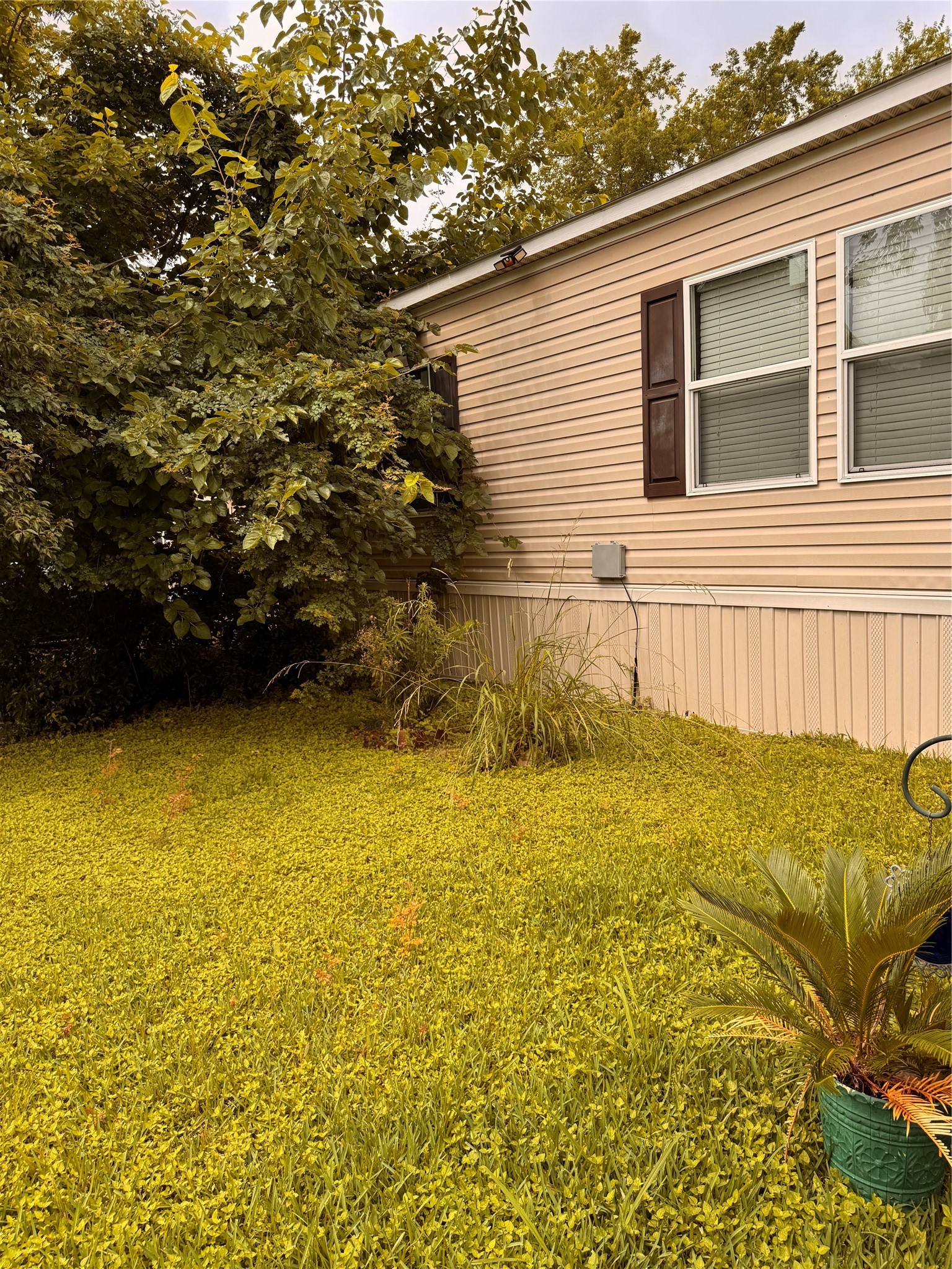 7903 Spivey Road Highlands, TX 77562 - Photo 6 of 6 a view of a back yard of the house