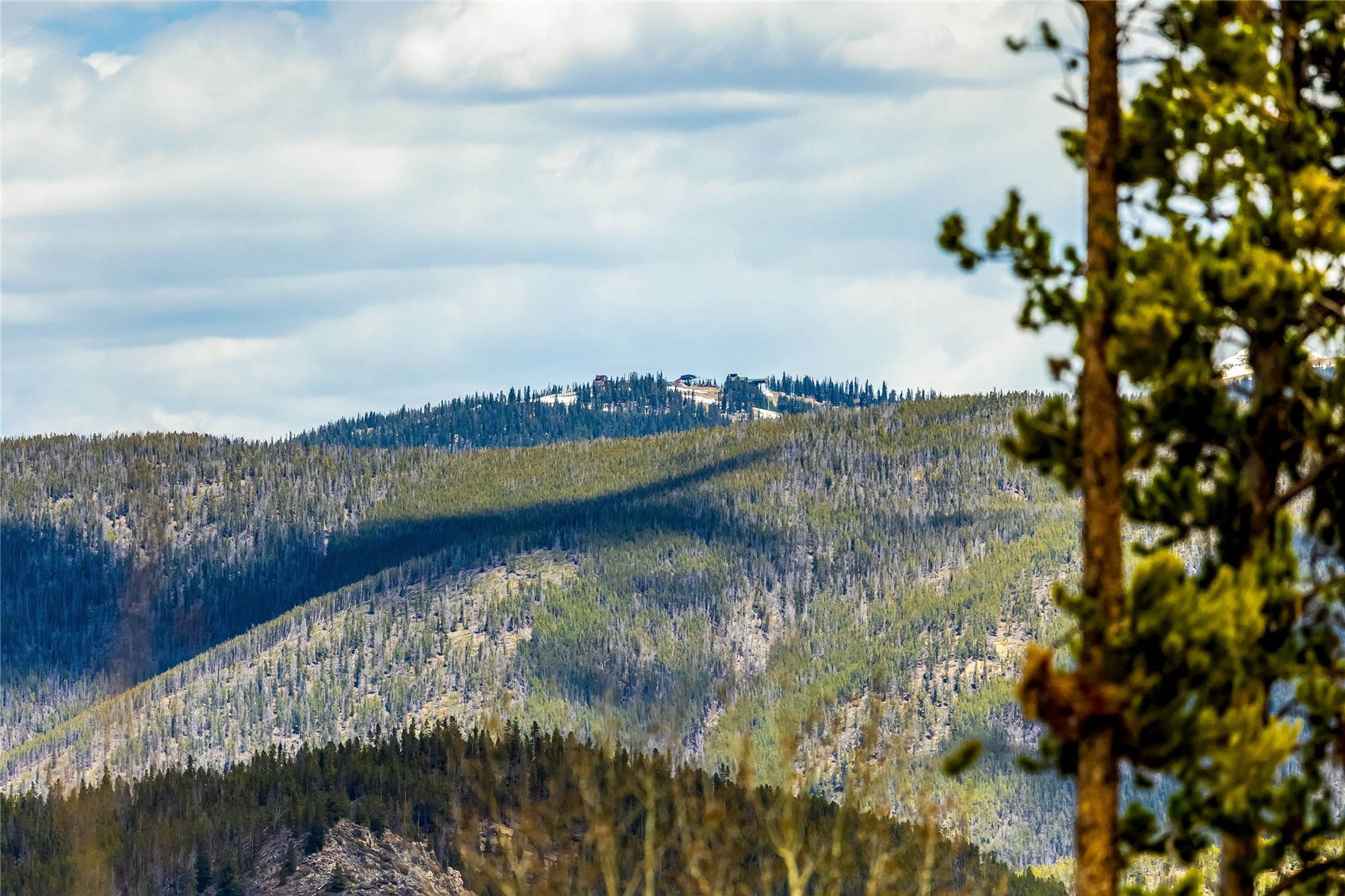 246 Westerman Road Breckenridge, CO 80424 - Photo 40 of 50