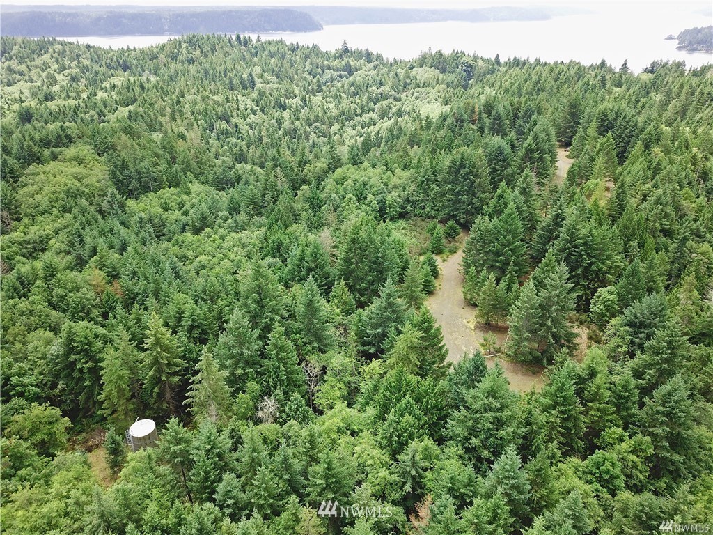 307 Black Point Road Brinnon, WA 98320 - Photo 2 of 4 Gallery Image 2