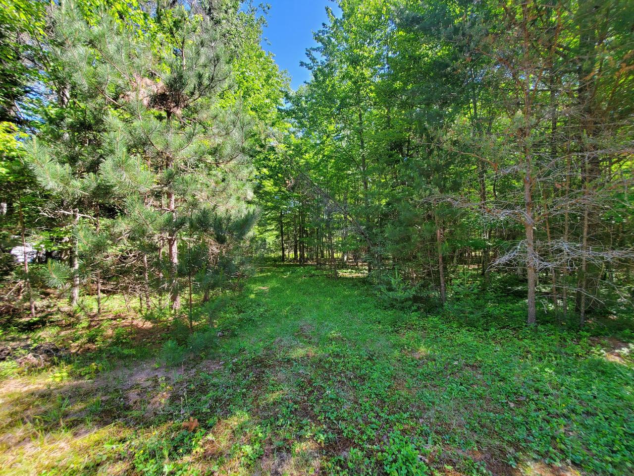 4688 Bayview Drive Rhinelander, WI 54501 - Photo 8 of 13 Gallery Image 8