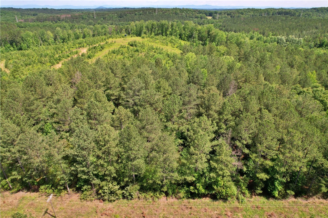 Lot 3 Mill Pine Road Central, SC 29630 - Photo 16 of 17