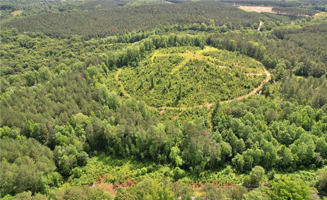 Lot 3 Mill Pine Road Central, SC 29630 - Photo 3 of 17