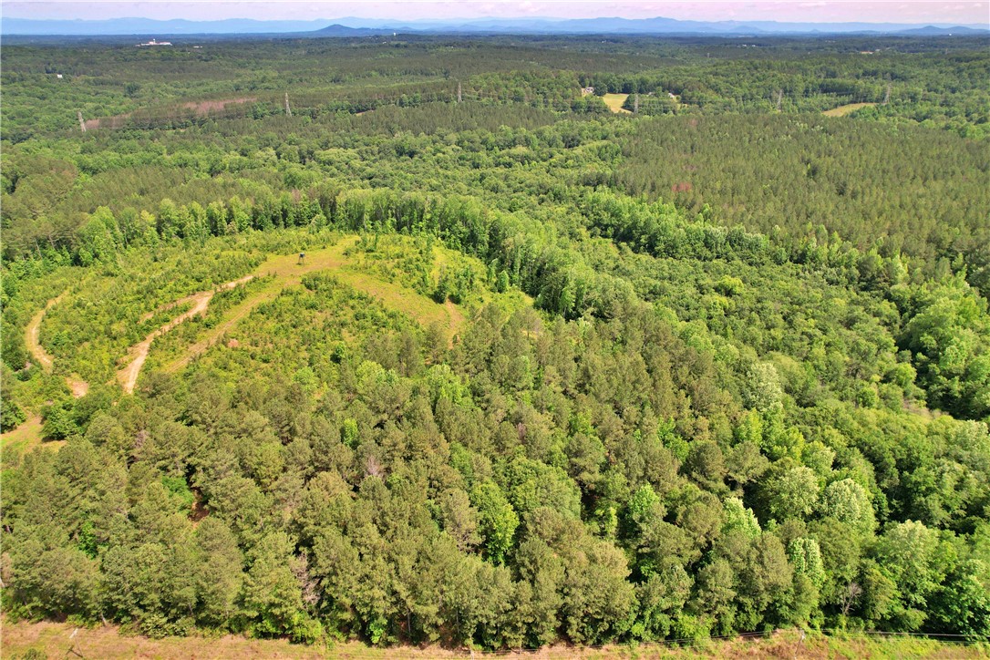 Lot 3 Mill Pine Road Central, SC 29630 - Photo 5 of 17