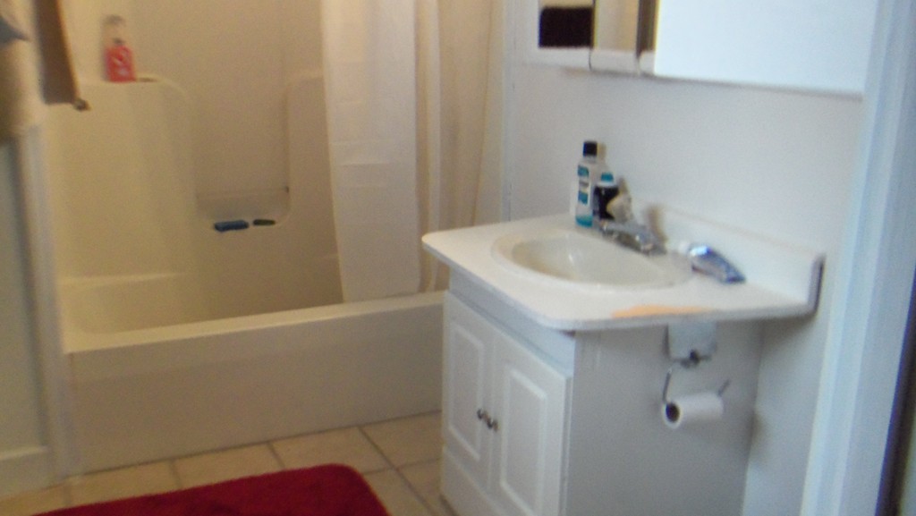 303 Rodman Street Fall River, MA 02721 - Photo 11 of 22 a bathroom with a sink and a mirror