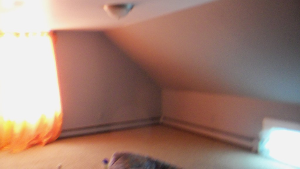 303 Rodman Street Fall River, MA 02721 - Photo 13 of 22 a view of room