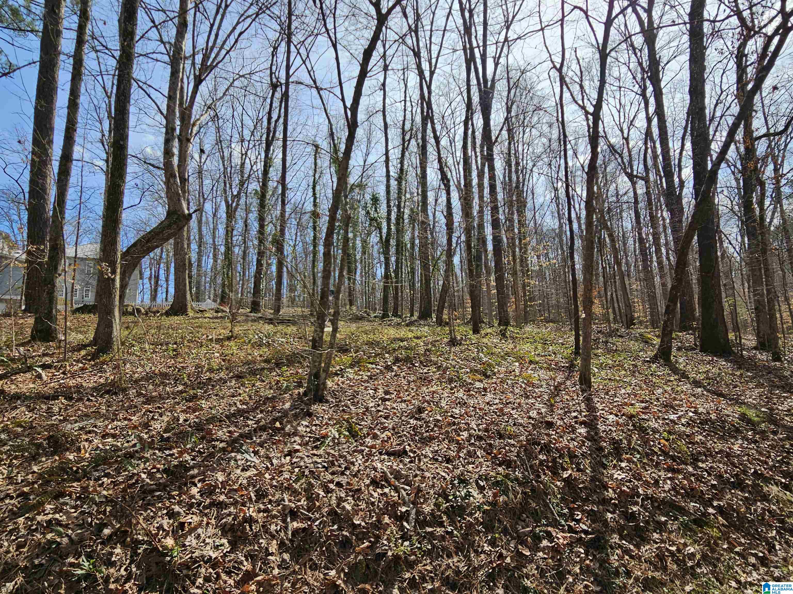 155 South Hollow Road Hayden, AL 35079 - Photo 5 of 11