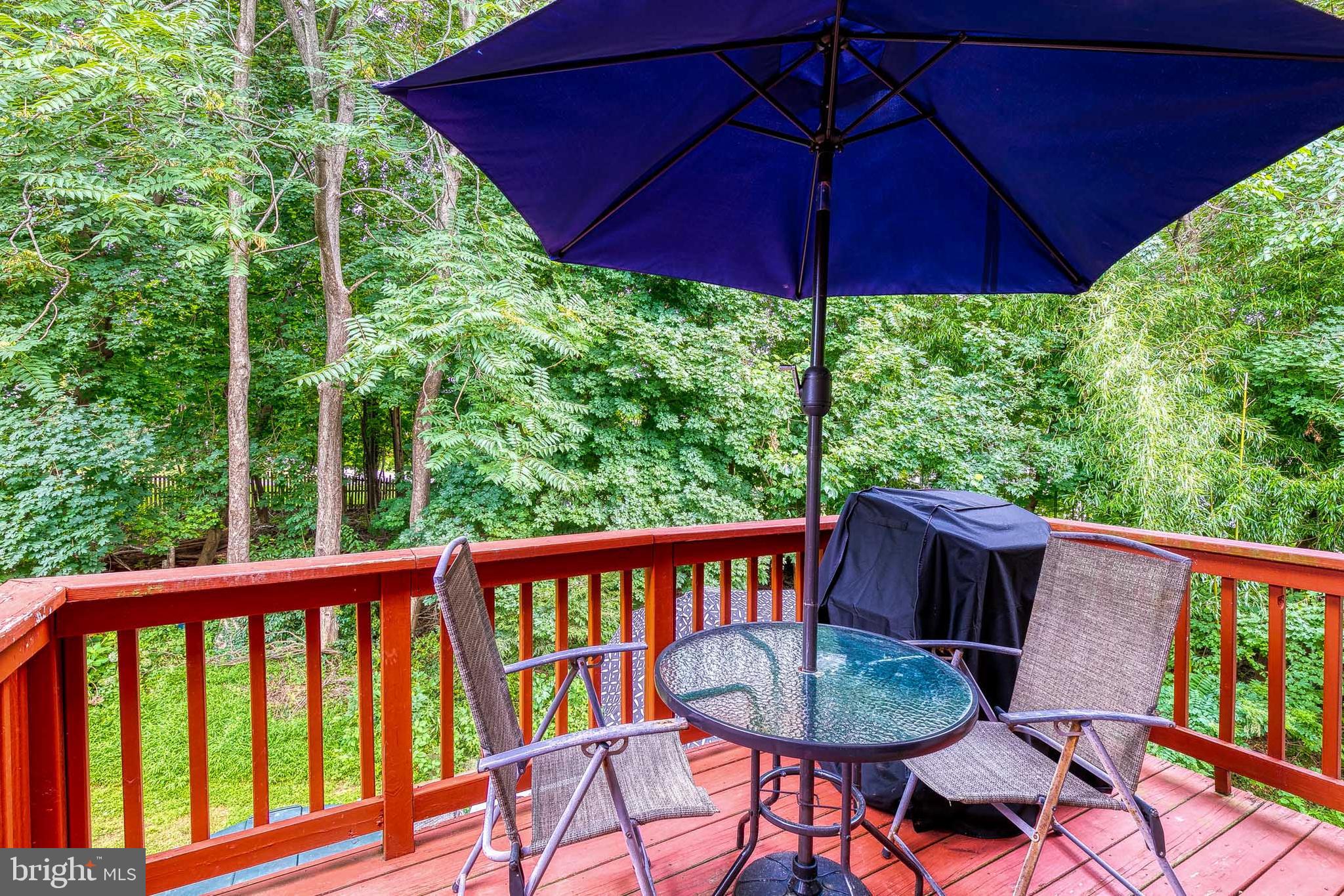 127 Carolstowne Road Reisterstown, MD 21136 - Photo 28 of 28